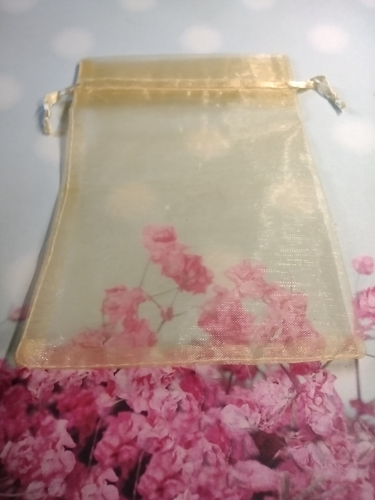 Organza Gift Bags